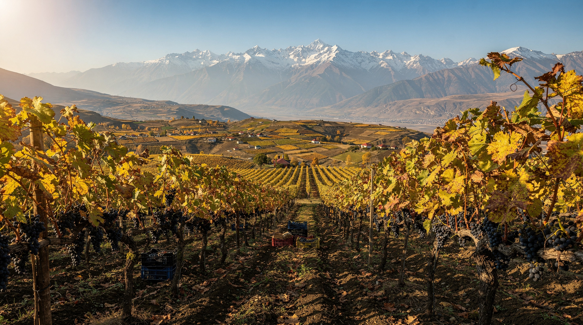 Kakheti: Georgia's ancient wine heartland