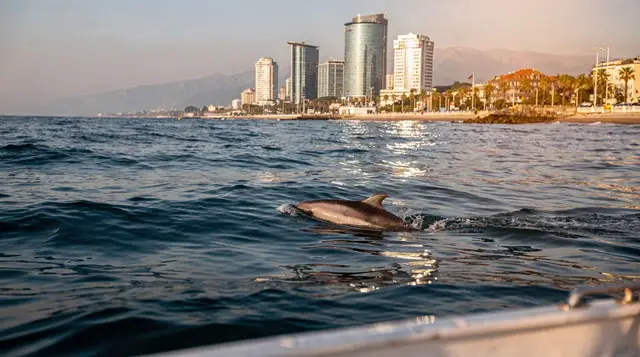 Batumi City Highlights Walking Tour