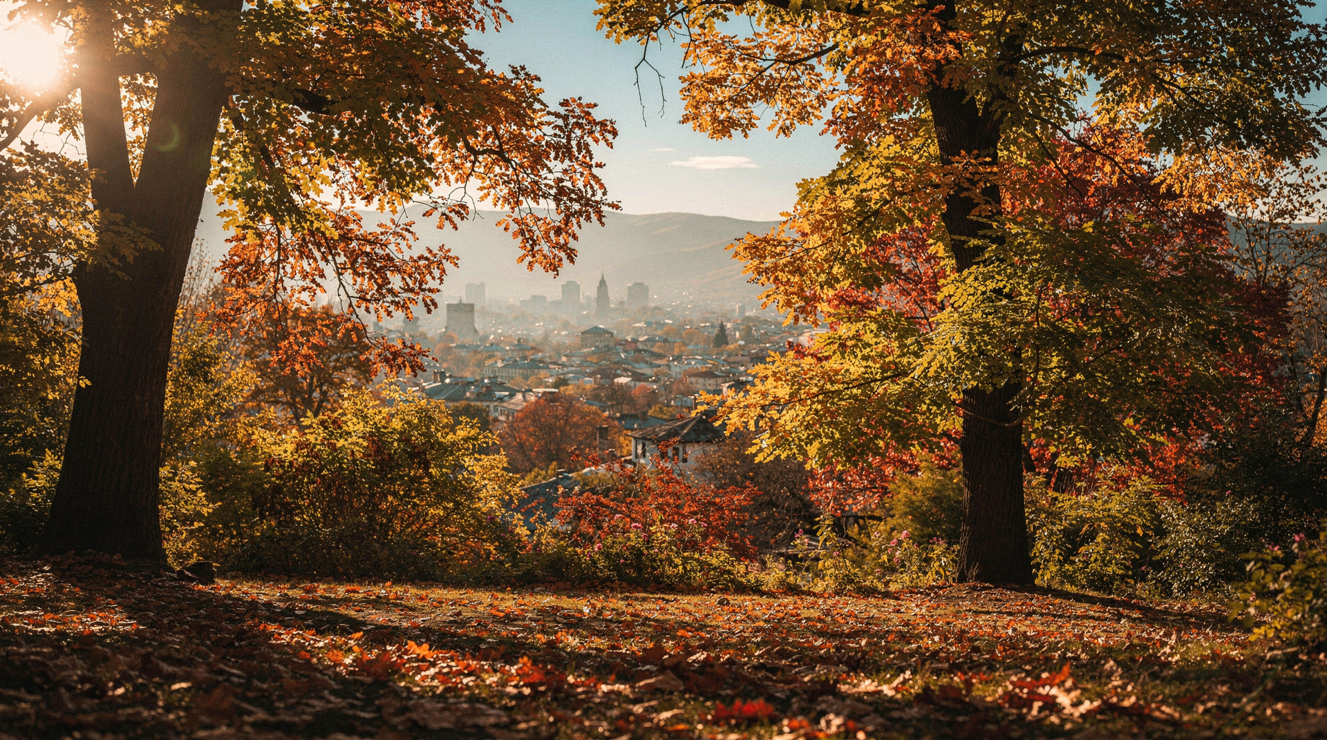 Georgia in October: autumn colours and the wine harvest peak